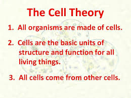 Check spelling or type a new query. The Cell Theory The Cell The Basic Unit