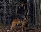 The Walking Dead: Daryl Dixon' Snuck In A Sweet Tribute To ...