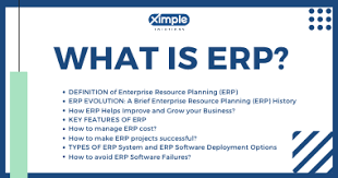 What is ERP? | How ERP Can Help Your Business Grow (2024)