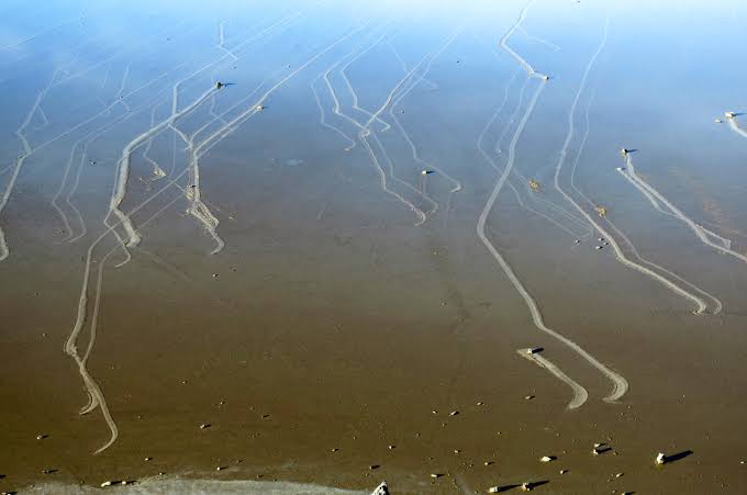 Death Valley Sailing Stones Caught in Action for First Time ...