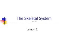 You can use this swimming information to make your own swimming trivia questions. Bell Ringer Bone Trivia Questions Write Down Your Answer 1 How Many Bones Are In The Human Body At Adulthood 2 Which Bone Is The Longest And Strongest Ppt Download