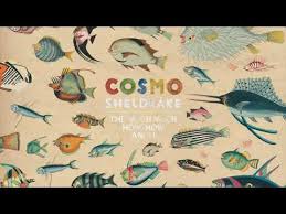 Birthday Suit Cosmo Sheldrake Lyrics Meaning Cosmo Sheldrake Birthday Suit Youtube