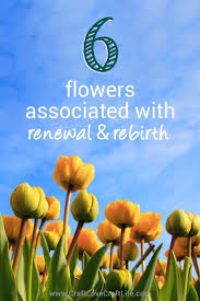 Maybe you would like to learn more about one of these? 35 Flowers Associated With Grief And Loss Flower Meanings Grief Support Grief Support Flower Meanings Grief