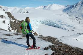 Select from premium arctic hare of the highest quality. Arctic On Foot Hiking And Snowshoeing The Far North