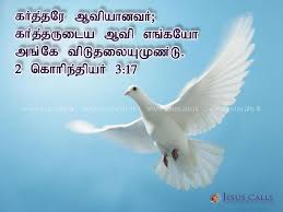Pin On Holy Bible Tamil