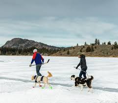Over 86,000 people in kamloops and there isn't a reddit for it, well now there is. 6 Ideas For A Winter Date Night Kamloops Bc