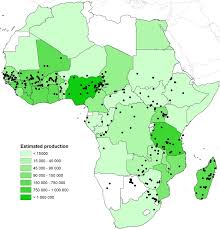 Image result for Rhamphicarpa brevipedicellata