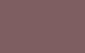Derived from the french noun meaning mole, taupe is not quite gray but not quite brown either. 2304x1440 Deep Taupe Solid Color Background