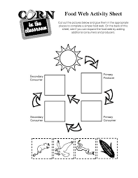 Food Chain Activity In 2020 Food Chain Activities Food Web Activities Food Web Worksheet