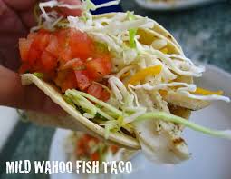 We love to see your food, but we also want to try it if we wish to. Wahoo Fish Taco Rice Recipe