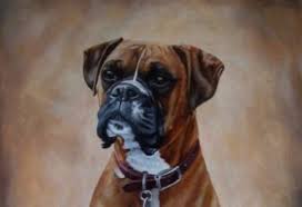 Boxer puppies for adoption ireland. The 15 Coolest Boxer Dog Paintings Petpress