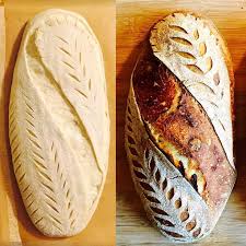 Tuesday Bake Light Rye And Malted Barley With Molasses Malted Barley Bread Scoring Bread