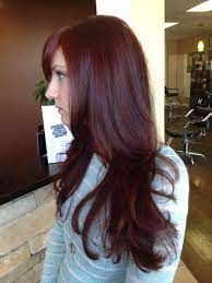 Pin By Jonna Merritt On Hair Mahagony Hair Color Dark Red Hair Hair Styles