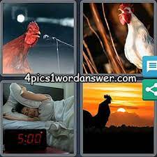 If something is wrong or. 4 Pics 1 Word Bonus Puzzle May 26 2021 4 Pics 1 Word Daily Puzzle Answers