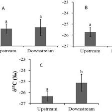 Image result for Acacia haematoxylon