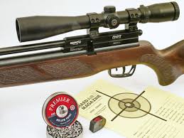 Check spelling or type a new query. Gamo Coyote Pcp Air Rifle Test Review