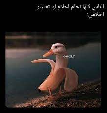 وش حلمكم اليوم Funny Science Jokes Funny Reaction Pictures Funny Posters