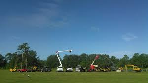 The magic kingdom was the first theme park to open in the complex, in 1971, followed by epcot (1982), disney's hollywood studios (1989), and disney's animal kingdom (1998). Walt S Tree Service Home Facebook