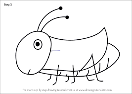 Learn How To Draw A Grasshopper For Kids Animals For Kids Step By Step Drawing Tutorials There are 11,000 species, of which 10,000 are in the family acrididae. to draw a grasshopper for kids