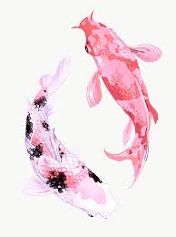 Download Premium Png Of Two Japanese Koi Fish Swimming Transparent Png In 2020 Koi Fish Japanese Koi Koi Art