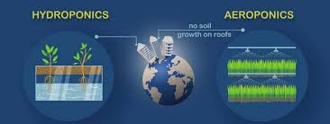 Maybe you would like to learn more about one of these? Aeroponics Vs Hydroponics Which To Use The Hemloft