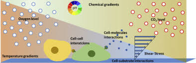 Check spelling or type a new query. Microfluidic Platforms For Cell Cultures And Investigations Sciencedirect