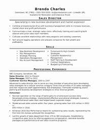 Business Development Representative Resume Inspirational Sales Director Resume Sample In 2020 Sales Resume Examples Resume Examples Business Resume Template