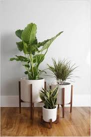 100 Very Inspiring Entryway Decor Collaborating Soothing Indoor Plants Part 3 Homeinterior Bedroomdecor 15 Plant Decor Indoor House Plants Decor Plant Decor