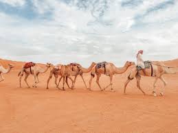 The wahiba sands of oman, a 4,800 square mile desert to the north west of the country, is a less ominous and more convenient alternative to the empty quarter and is precisely where the safari desert camp is based. Wahiba Sands Desert Nights Camp In Oman Champagne On Arrival