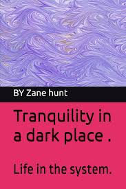 Tranquility in a dark place .: Life in the system.: Amazon.co.uk: author, Zane  Hunt: 9798328096270: Books