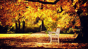 If you don't find the perfect resolution you are looking for, then strive for 'original' or higher resolution which may fit nicely your desktop. Autumn Wallpapers Hd Wallpaper Cave