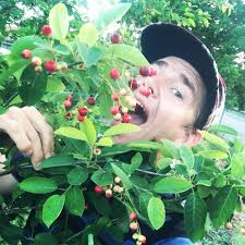 Blue House Urban Farm