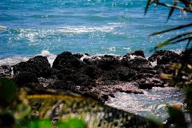In boca raton, most locals commute and run errands by car. Greater Boca Raton Beach And Park District Home Facebook