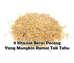 Beras perang merupakan jenis beras yang kurang diproses dan memiliki nutrisi yang tinggi. Maria Firdz Lifestyle Blogger