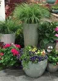 Pin On Garden Club