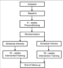 Flow Chart Of Outline Of The Run Clever Trial Download