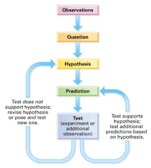 Scientific Method Flow Chart Hypothesis Based Science Teaching Scientific Method Science Method Scientific Method Elementary