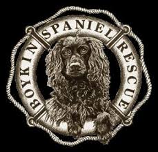 Boykin spaniel puppies for sale under 500 in sc. Boykin Spaniel Rescue Reviews And Ratings Boiling Springs Sc Donate Volunteer Review Greatnonprofits