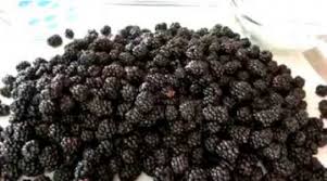 Maybe you would like to learn more about one of these? Wild Blackberry Syrup How To Make Blackberry Syrup Recipe Recipes Us
