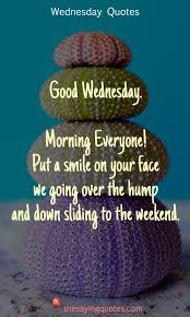 We did not find results for: Tuesday Morning Power Quotes For Work 250 Wednesday Sayings And Quotes To Push Thought The Week The Dogtrainingobedienceschool Com