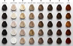 It draws attention to the person, brightens up any hairstyle, and makes the person have more fun (true story.) but there are so many different shades, what's the difference between them all? Pin On Hair Colour Chart