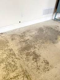 Your floor must be free of grime for the paint to stick. Diy Stenciled Concrete Floor Fusion Mineral Paint