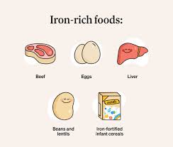 Image result for Infant Nutritional Sources