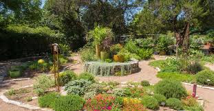 Austin, houston, san antonio, and texas is when planting nut trees in texas, keep the pollination requirements in mind, and call the friendly staff. Austin S 16 Best Gardening Stores Curbed Austin