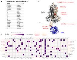 Scientists have linked the l452r variant to several large outbreaks in santa clara county—the most the l452r variant, which is different from the highly transmissible b.1.1.7 first detected in the u.k. Emergence Of Sars Cov 2 Lineage A 27 In Germany Expressing Viral Spike Proteins With Several Amino Acid Replacements Of Interest Including L18f L452r And N501y In The Absence Of D614g Ncov 2019 Genomic Epidemiology