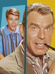 My Three Sons: Season 1, Episode 29