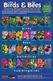 Check spelling or type a new query. Plants That Celebrate Spring Link To Great Plant Picks Lists And Search Page Butterfly Garden Design Bee Friendly Garden Hummingbird Garden