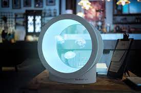 Du willst ein quallen aquarium? Quallen Aquarium Quallen Kaufen Quallenaquarium Net