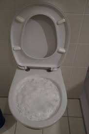 Déboucher ses toilettes en utilisant des produits adaptés; Comment Utiliser Un Furet Plomberie Blog Travaux Org