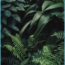 Maybe you would like to learn more about one of these? Green Wallpapers Tumblr Green Wallpaper Tumblr Neat